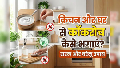 कॉकरोच भगाने के सबसे असरदार घरेलू उपाय
