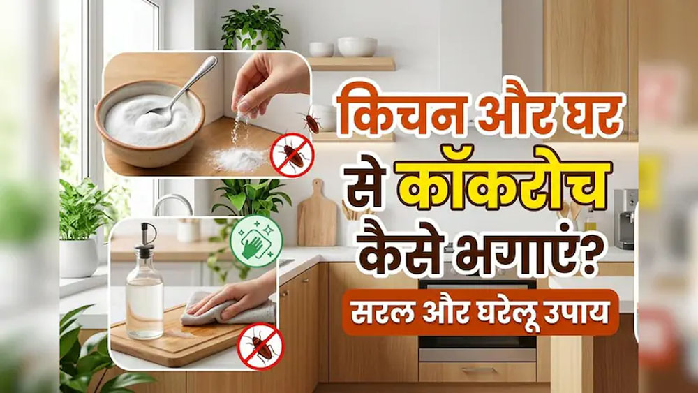 कॉकरोच भगाने के सबसे असरदार घरेलू उपाय कॉकरोच भगाने के सबसे असरदार घरेलू उपाय