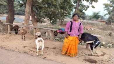 बहुआयामी व्यवसाय से संवरा जीवन, रेबेका बनीं ‘लखपति दीदी’