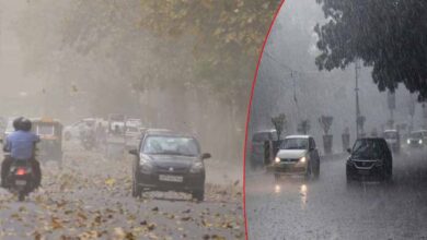 MP में कल से नया मौसम सिस्टम: तेज गर्मी के बीच आंधी-बारिश और गरज-चमक का दौर शुरू