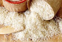 ईरान-इजरायल युद्ध का डबल अटैक: तेल के बाद अब चावल संकट, पोर्ट्स पर फंसा लाखों टन माल