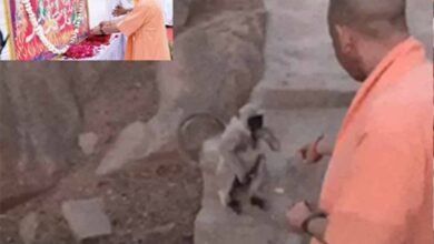 जालोर में योगी आदित्यनाथ का आध्यात्मिक शंखनाद: जौहर को बताया आत्मसम्मान का प्रतीक