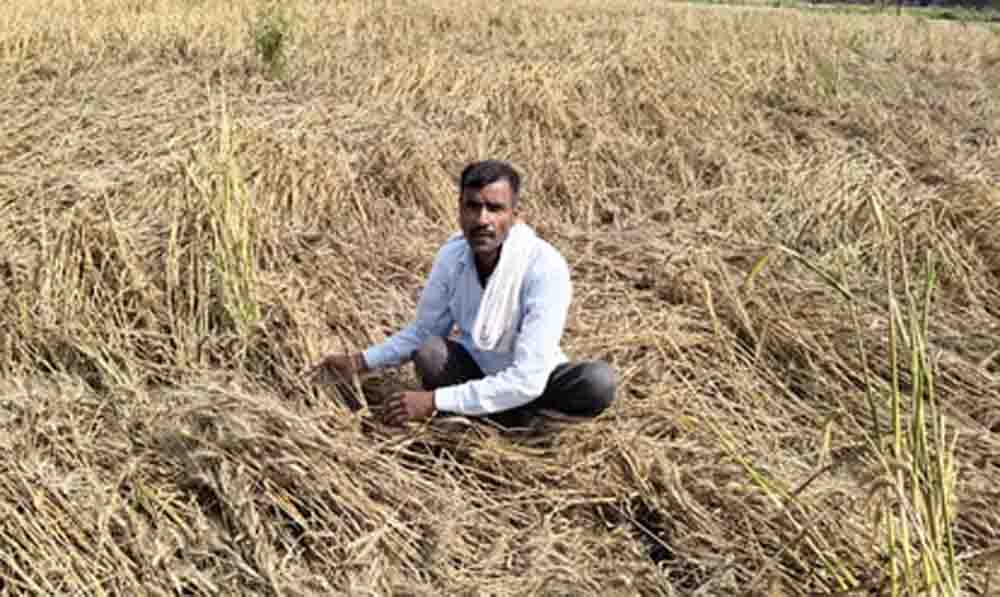 यूपी में थमेगा मौसम का मिजाज, अब तीखी धूप और गर्म हवाओं के साथ 10 डिग्री तक बढ़ेगा पारा और गर्मी ढाएगी कहर यूपी में थमेगा मौसम का मिजाज, अब तीखी धूप और गर्म हवाओं के साथ 10 डिग्री तक बढ़ेगा पारा और गर्मी ढाएगी कहर