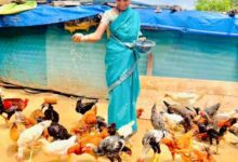 कांकेर जिले की पहल-. एकीकृत कृषि और आजीविका के लिए “दीदी के बखरी “से आ रही नई क्रांति