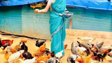 कांकेर जिले की पहल-. एकीकृत कृषि और आजीविका के लिए “दीदी के बखरी “से आ रही नई क्रांति