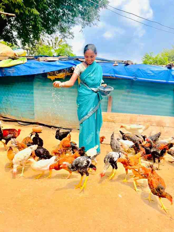 कांकेर जिले की पहल-. एकीकृत कृषि और आजीविका के लिए “दीदी के बखरी “से आ रही नई क्रांति