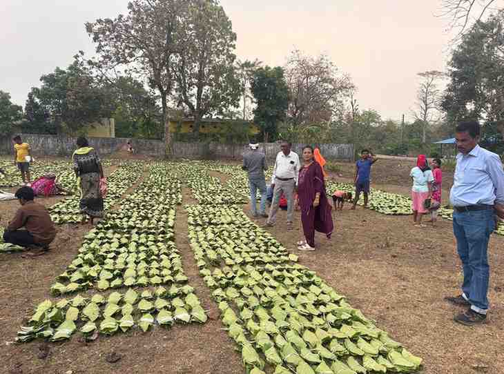 दर वृद्धि हरा सोना संग्राहकों की आय बढ़ाने की दिशा में बड़ा कदम,लगभग 920 करोड़ रुपए का होगा संभावित भुगतान दर वृद्धि हरा सोना संग्राहकों की आय बढ़ाने की दिशा में बड़ा कदम,लगभग 920 करोड़ रुपए का होगा संभावित भुगतान