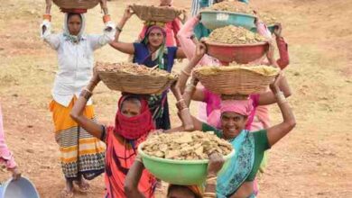छत्तीसगढ़ में आर्थिक और सामाजिक रूप से सशक्त होती महिला श्रमिक