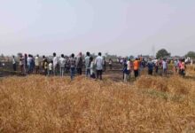 चंदौली में गेहूं की फसल पर आग का तांडव, 10 बीघा से अधिक खेत जलकर राख