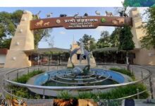 इंदौर चिड़ियाघर में बनेगी अंडर वॉटर टनल, दुबई और सिंगापुर की तर्ज पर 35 करोड़ का मॉडल