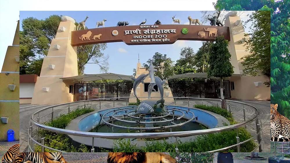 इंदौर चिड़ियाघर में बनेगी अंडर वॉटर टनल, दुबई और सिंगापुर की तर्ज पर 35 करोड़ का मॉडल
