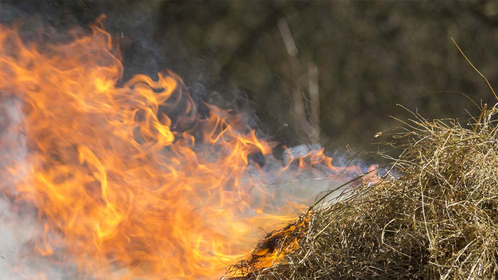 आगजनी के बाद कृषि विभाग की अपील: ज्वलनशील पदार्थों से खलिहानों का करें बचाव आगजनी के बाद कृषि विभाग की अपील: ज्वलनशील पदार्थों से खलिहानों का करें बचाव