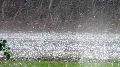 यूपी के 35 जिलों में बारिश और ओले की चेतावनी, 60 किमी की रफ्तार से चलेंगी हवाएं यूपी के 35 जिलों में बारिश और ओले की चेतावनी, 60 किमी की रफ्तार से चलेंगी हवाएं