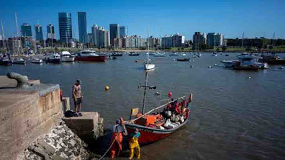 ईरान युद्ध की मार अब भारतीय समंदर तक, डीजल और एलपीजी के संकट से थमीं मछुआरों की नावें