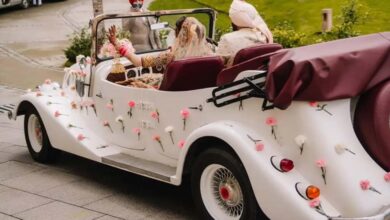 ग्वालियर में शादी सीजन में विंटेज कारों की धूम, किराया 11 हजार से 35 हजार तक पहुंचा ग्वालियर में शादी सीजन में विंटेज कारों की धूम, किराया 11 हजार से 35 हजार तक पहुंचा