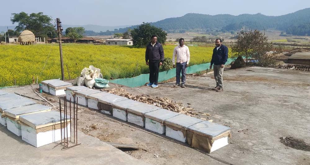 रायपुर : मधुमक्खी पालन: कम लागत में ज्यादा मुनाफे का बेहतर विकल्प