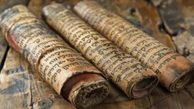 पांडुलिपि संरक्षण में आगे आएँ : मुख्यमंत्री विष्णुदेव साय का प्रदेशवासियों से आह्वान