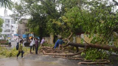लखनऊ समेत कई जिलों में आंधी-बारिश का कहर: 18 की मौत, बिजली व्यवस्था ठप