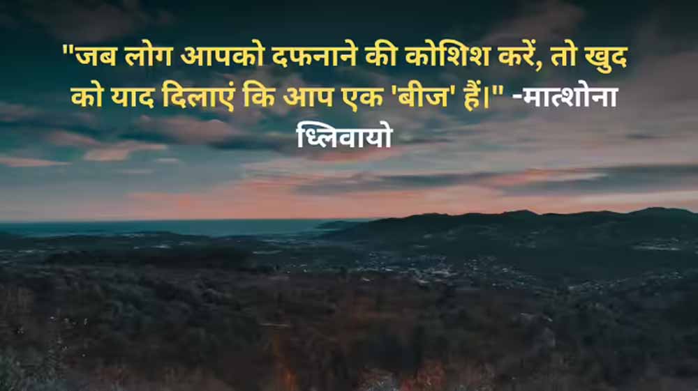 बीज की तरह उगने का संदेश: मात्शोना ध्लिवायो का प्रेरक विचार बीज की तरह उगने का संदेश: मात्शोना ध्लिवायो का प्रेरक विचार