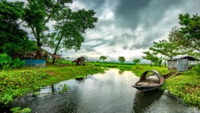 MP में मानसून कमजोर पड़ सकता है, IMD ने दी कम बारिश की चेतावनी, इंदौर-ग्वालियर में सूखा संभव