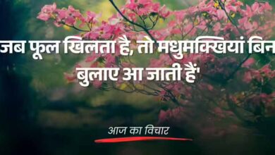 अपने गुण और कौशल बढ़ाओ, सफलता बिना बुलाए मिलती है