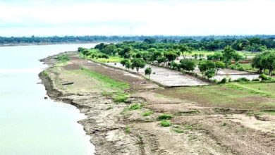 गंगा के किनारे 26 जिलों में ऑर्गेनिक क्लस्टर से बदल रही यूपी की तस्वीर गंगा के किनारे 26 जिलों में ऑर्गेनिक क्लस्टर से बदल रही यूपी की तस्वीर