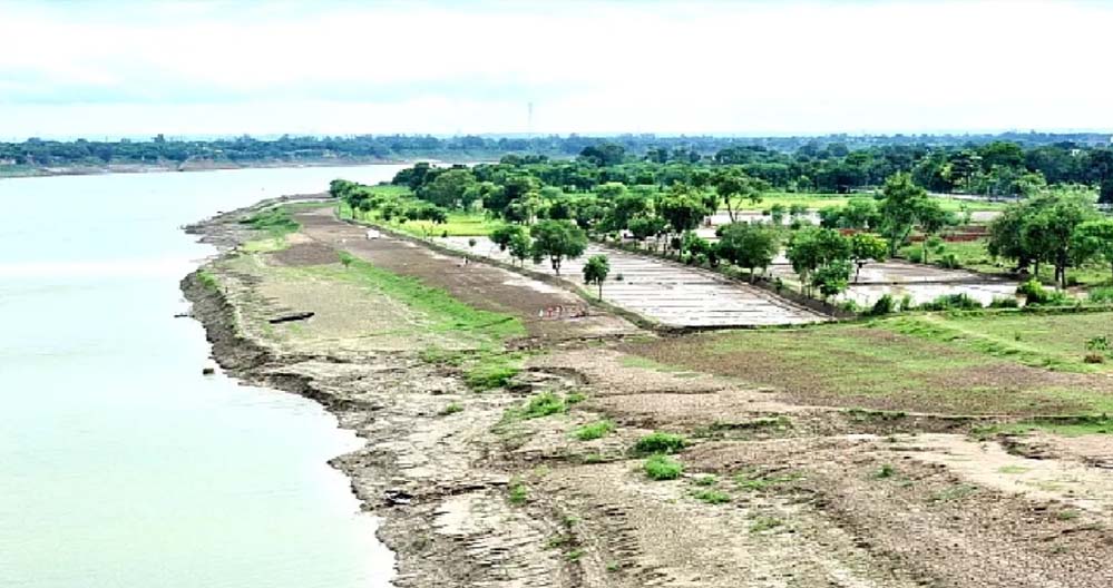 गंगा के किनारे 26 जिलों में ऑर्गेनिक क्लस्टर से बदल रही यूपी की तस्वीर गंगा के किनारे 26 जिलों में ऑर्गेनिक क्लस्टर से बदल रही यूपी की तस्वीर