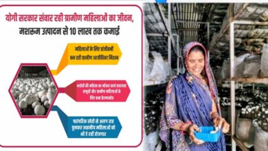 योगी सरकार संवार रही ग्रामीण महिलाओं का जीवन, मशरूम उत्पादन से 10 लाख तक कमाई