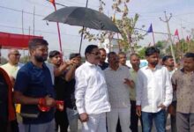 नदावां महादंगल में भिड़ेंगे तीन देशों के पहलवान, लाखों लोगों के लिए शाही भोज और कुश्ती का भव्य आयोजन