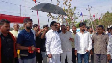 नदावां महादंगल में भिड़ेंगे तीन देशों के पहलवान, लाखों लोगों के लिए शाही भोज और कुश्ती का भव्य आयोजन