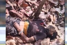 जंगल की खामोशी में गूंजी चीख: महुआ बीनने गए ग्रामीण की हाथी हमले में दर्दनाक मौत