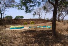 वर्षा जल संरक्षण में प्रदेश का जनजातीय जिला डिंडोरी देश में प्रथम स्थान पर, खंडवा देश में दूसरे स्‍थान पर