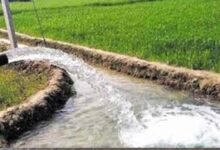 मध्य प्रदेश के 678 गांवों को चूमेगी हरियाली, वॉटर प्रोजेक्ट पर मोहन सरकार बहाएगी पैसा