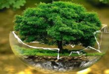 विश्व पृथ्वी दिवस पर INTACH की राष्ट्रीय पोस्टर प्रतियोगिता आयोजित