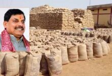 समर्थन मूल्य पर गेहूं उपार्जन का लक्ष्य बढ़ाने भारत सरकार से चर्चा जारी: मुख्यमंत्री डॉ. यादव