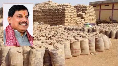 समर्थन मूल्य पर गेहूं उपार्जन का लक्ष्य बढ़ाने भारत सरकार से चर्चा जारी: मुख्यमंत्री डॉ. यादव