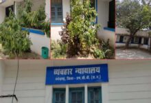 हरियाली की गोद में न्याय का मंदिर:मनेन्द्रगढ़ न्यायालय परिसर बना प्रकृति का मनमोहक आंगन