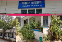 हरियाली से महका मनेन्द्रगढ़ न्यायालय परिसर, फलदार वृक्ष बने आकर्षण का केंद्र