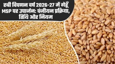 मध्‍यम एवं बड़े कृषकों को गेहूं विक्रय करने के लिये स्‍लॉट बुकिंग की सुविधा प्रारंभ