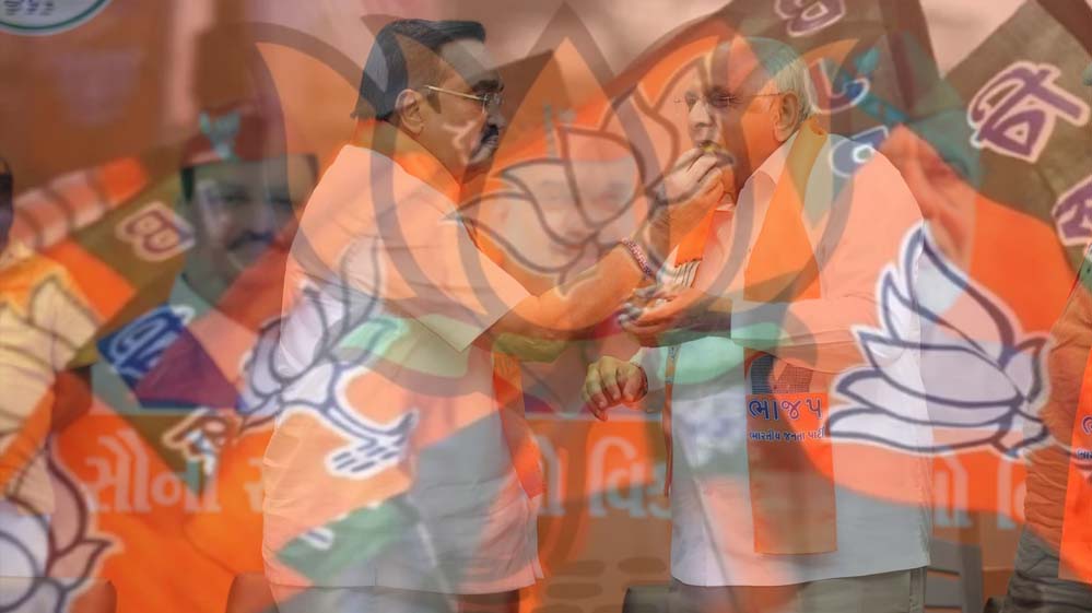 गुजरात में पलटा गेम! IPS की नौकरी छोड़कर हारे चुनाव, पूर्व MLA को पंचायत चुनाव में मिली शिकस्त गुजरात में पलटा गेम! IPS की नौकरी छोड़कर हारे चुनाव, पूर्व MLA को पंचायत चुनाव में मिली शिकस्त