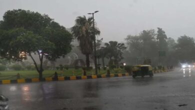 MP में 5 अप्रैल तक ओले और आंधी-बारिश की चेतावनी, भोपाल-इंदौर समेत 30 जिलों में बारिश का अलर्ट MP में 5 अप्रैल तक ओले और आंधी-बारिश की चेतावनी, भोपाल-इंदौर समेत 30 जिलों में बारिश का अलर्ट