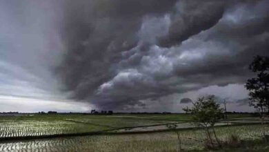 झारखंड में मौसम का मिजाज बदला, रांची समेत 13 जिलों में बारिश और वज्रपात का ‘येलो अलर्ट’ जारी