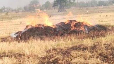 चतरा के सोकी गांव में भीषण आग, 500 से अधिक गेहूं के बोझे जलकर राख