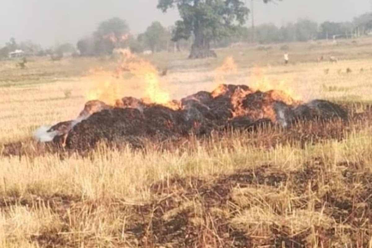 चतरा के सोकी गांव में भीषण आग, 500 से अधिक गेहूं के बोझे जलकर राख