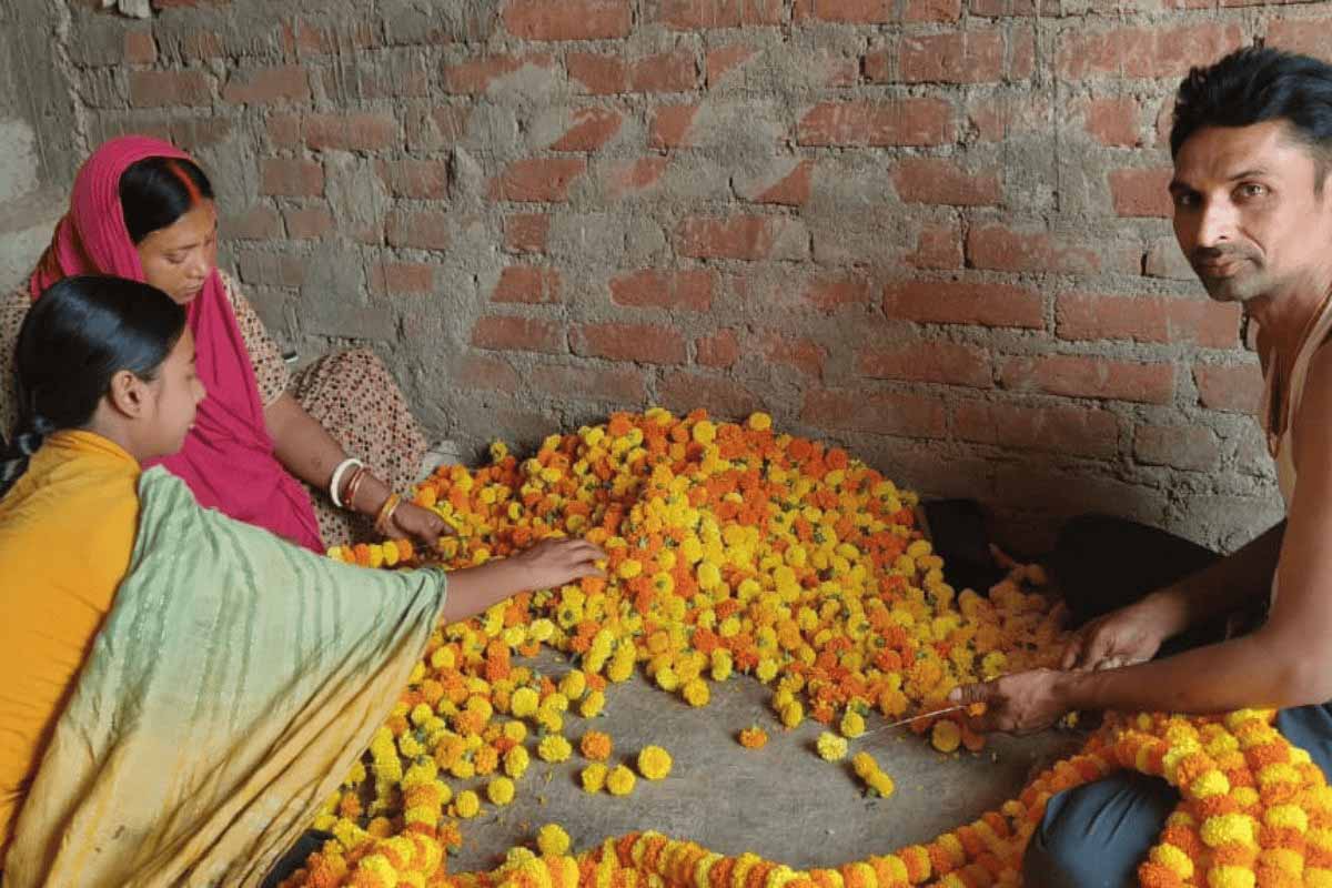 43 डिग्री गर्मी में भी गेंदा फूल की खेती से 2 लाख तक की कमाई 43 डिग्री गर्मी में भी गेंदा फूल की खेती से 2 लाख तक की कमाई