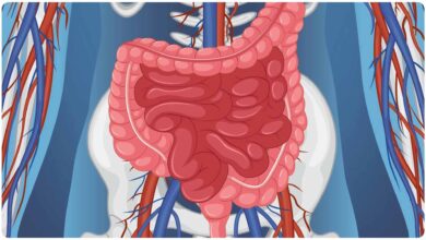 ज्यादा तीखा खाना पड़ सकता है भारी, पेट और पाचन पर डालता है असर