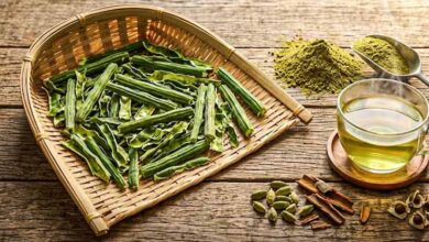 सहजन के छिलकों से बनाएं सुपरफूड मोरिंगा टी, जानें तरीका और फायदे