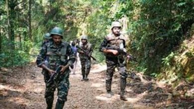 झारखंड: पश्चिम सिंहभूम में कोबरा बटालियन ने मारा एक माओवादी, अभियान जारी