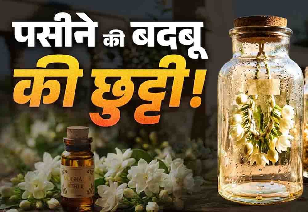 पसीने की बदबू से छुटकारा दिलाएगा मोगरे का देसी इत्र, बिना किसी खर्च के घर पर इस जादुई तरीके से करें तैयार पसीने की बदबू से छुटकारा दिलाएगा मोगरे का देसी इत्र, बिना किसी खर्च के घर पर इस जादुई तरीके से करें तैयार