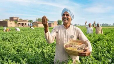 साहिबगंज: दलहन आत्मनिर्भरता मिशन से किसानों को मिलेगा बड़ा लाभ